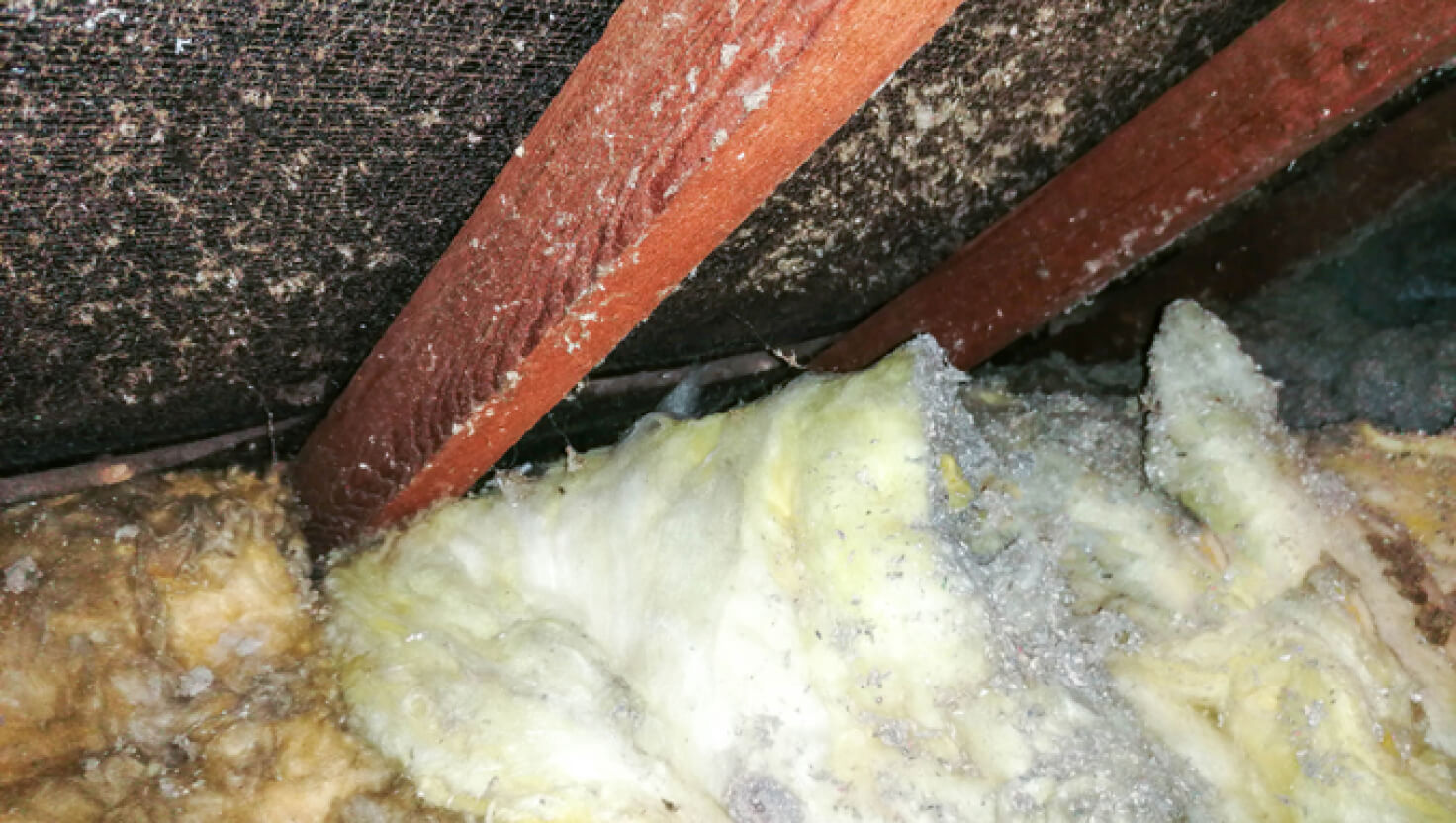 asbestos insulation in an attic